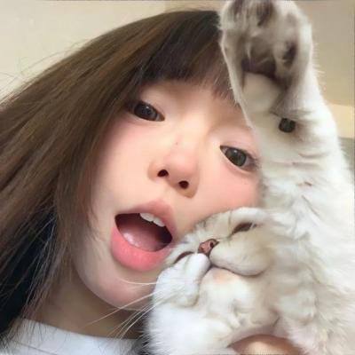 巴黎夜猫